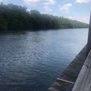 Meet your Posher, Carolina